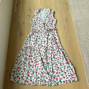 JCrew Strawberry Shirtdress